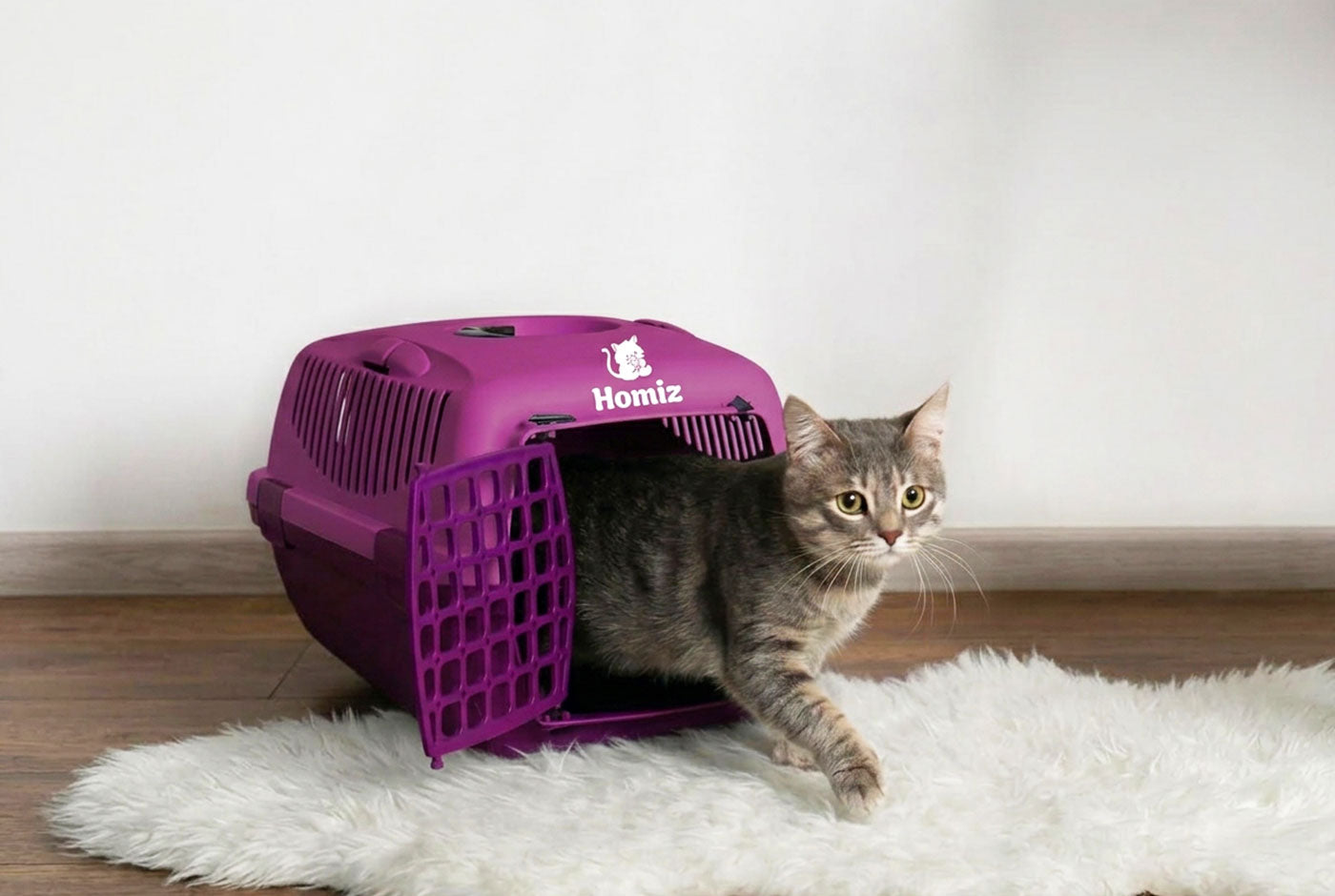 Caisse de transport pour chat Homiz