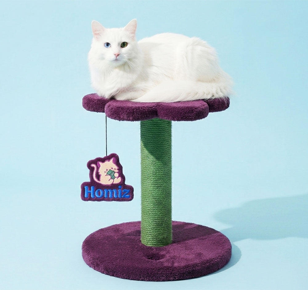 Arbre à chat Homiz